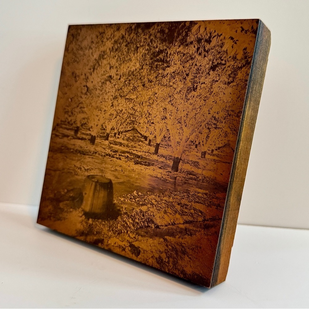 Antique Copper Wood Block Photo Negative Print Plate - Orchard